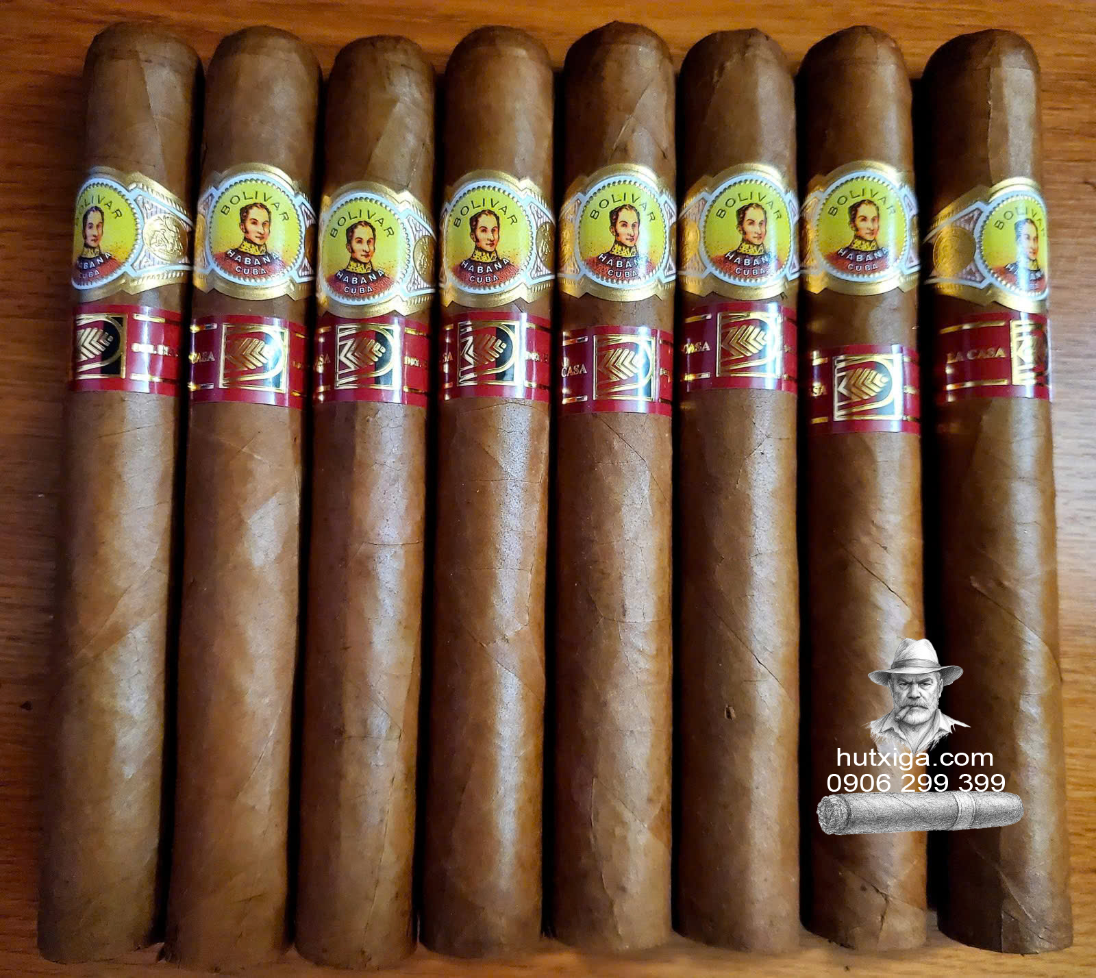 Xì gà Bolivar Libertador hộp 10 điếu ảnh 2