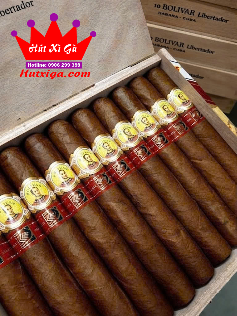 Xì gà Bolivar Libertador hộp 10 điếu ảnh 3