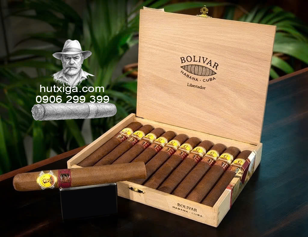 Xì gà Bolivar Libertador hộp 10 điếu ảnh 5