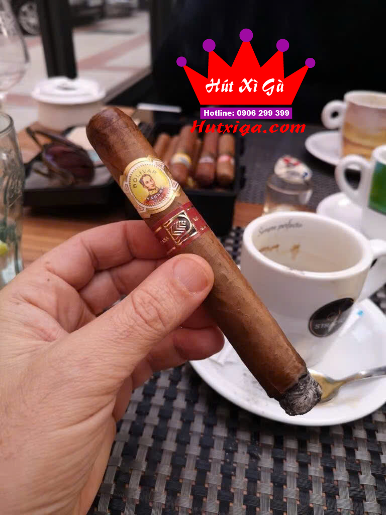 Xì gà Bolivar Libertador hộp 10 điếu ảnh 6
