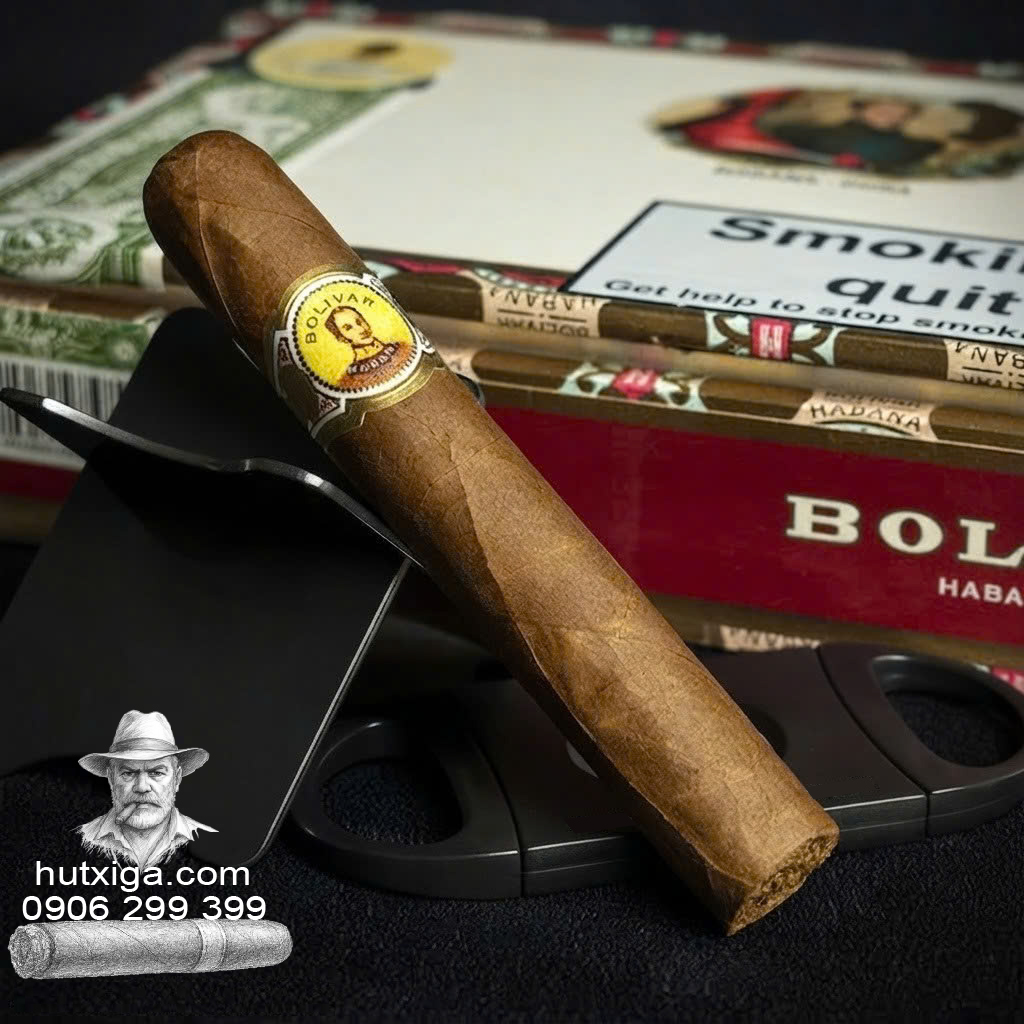 Xì gà Bolivar Royal Coronas hộp 25 điếu ảnh 2