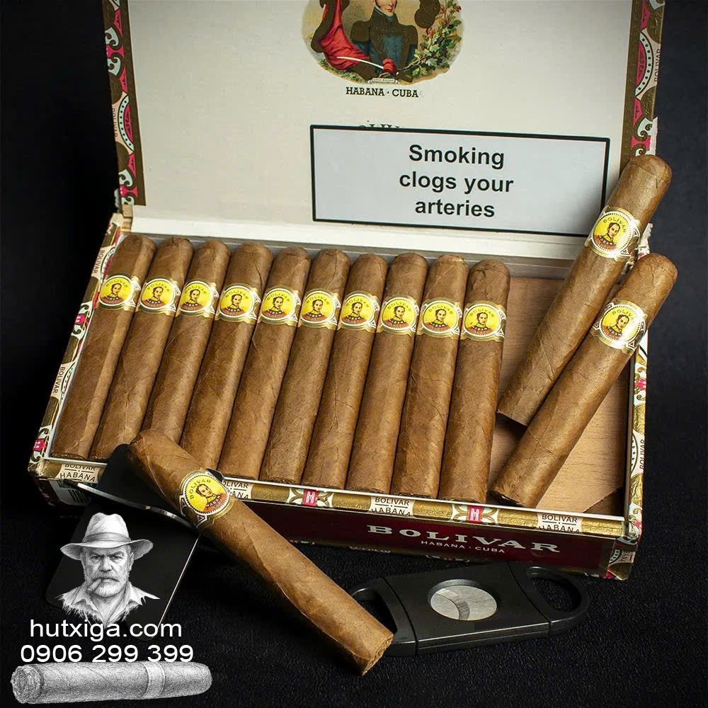 Xì gà Bolivar Royal Coronas hộp 25 điếu ảnh 3