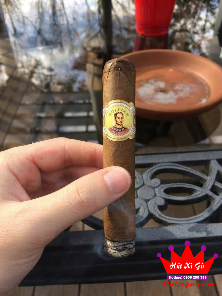 Xì gà Bolivar Royal Coronas hộp 25 điếu ảnh 4