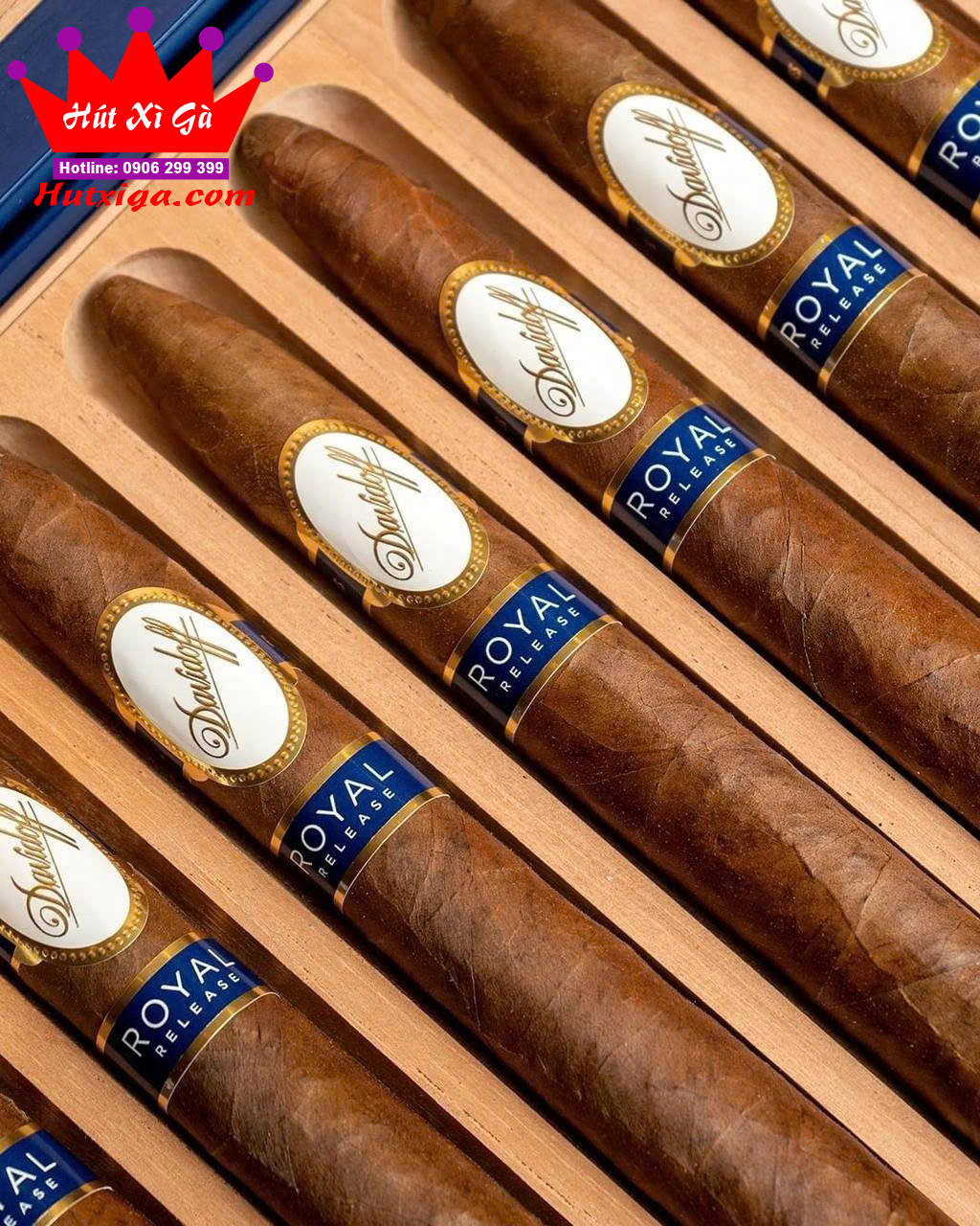 Xì gà Davidoff Royal Release Salomones ảnh 4