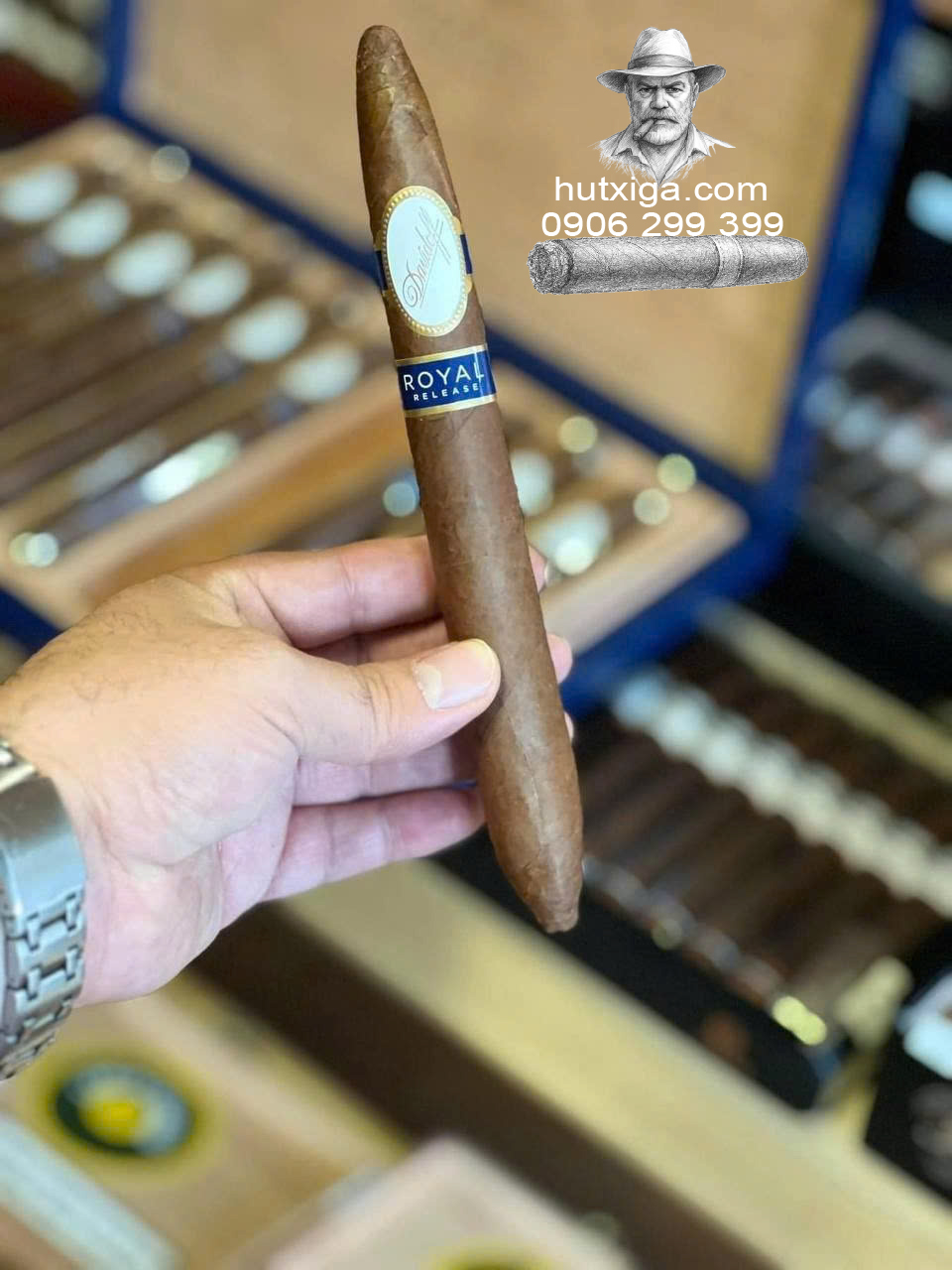 Xì gà Davidoff Royal Release Salomones ảnh 6