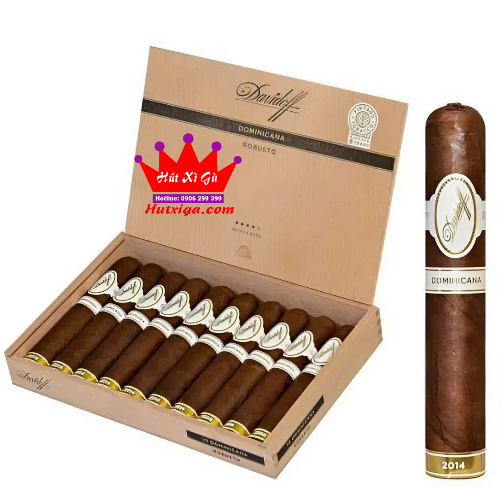 Xì gà Davidoff Dominicana Robusto ảnh 1
