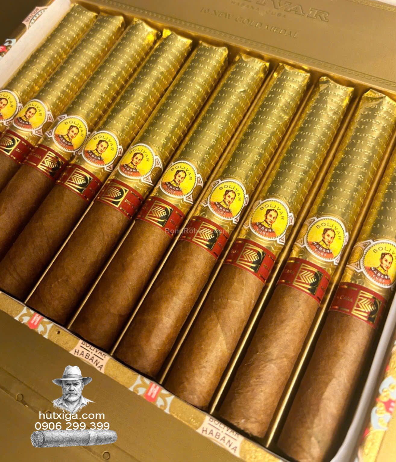 Xì gà Bolivar New Gold Medal LCDH hộp 10 điếu ảnh 1