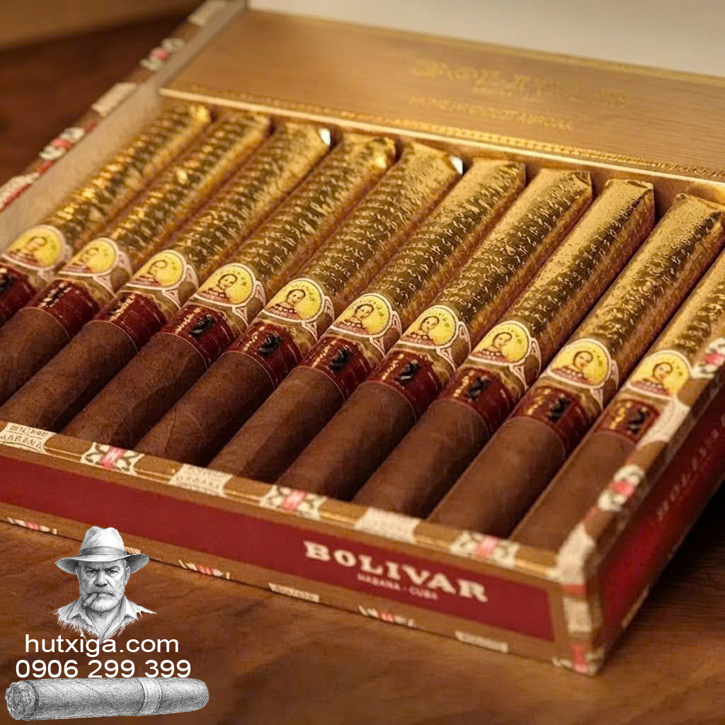 Xì gà Bolivar New Gold Medal LCDH hộp 10 điếu ảnh 2