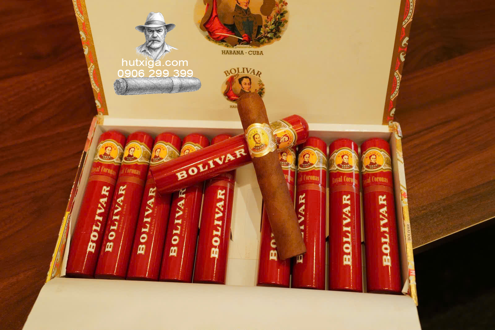 Xì gà Bolivar Royal Coronas Tubos hộp 10 điếu ảnh 1
