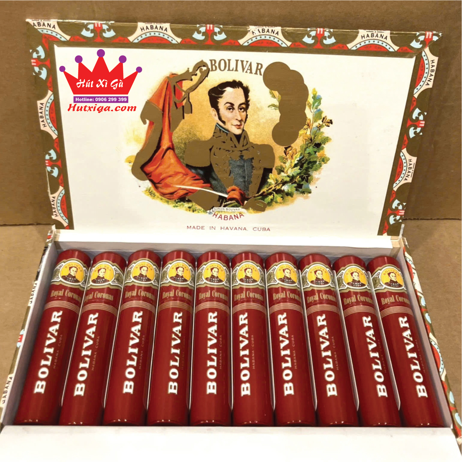 Xì gà Bolivar Royal Coronas Tubos hộp 10 điếu ảnh 2