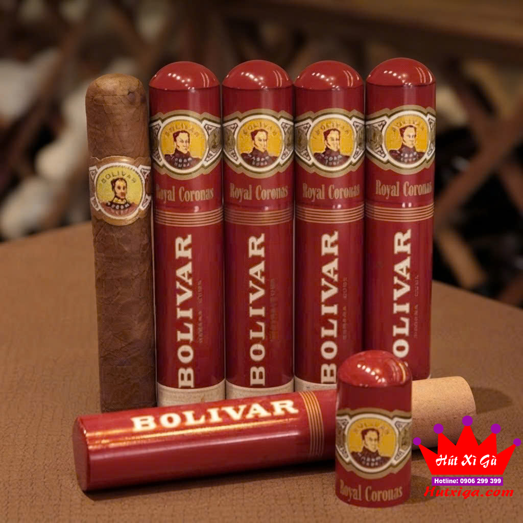 Xì gà Bolivar Royal Coronas Tubos hộp 10 điếu ảnh 5