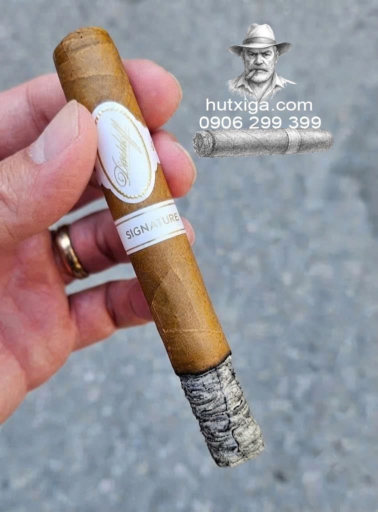 Xì gà Davidoff Signature 2000 tubos ảnh 3
