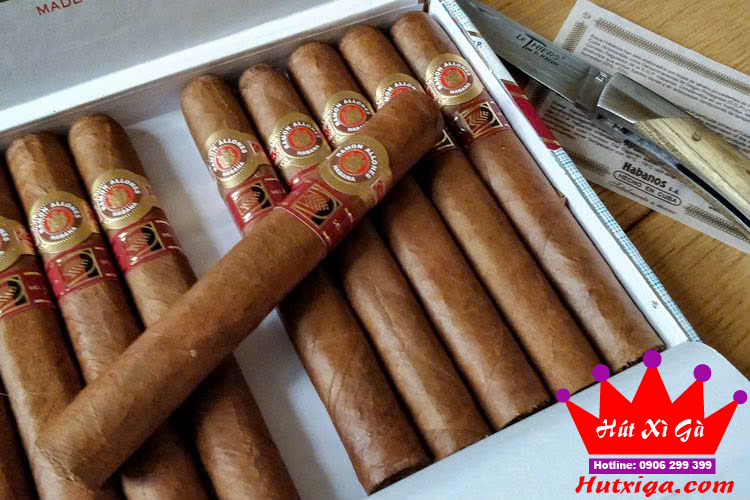 Xì gà Ramon Allones Superiores LCDH hộp 10 điếu ảnh 7