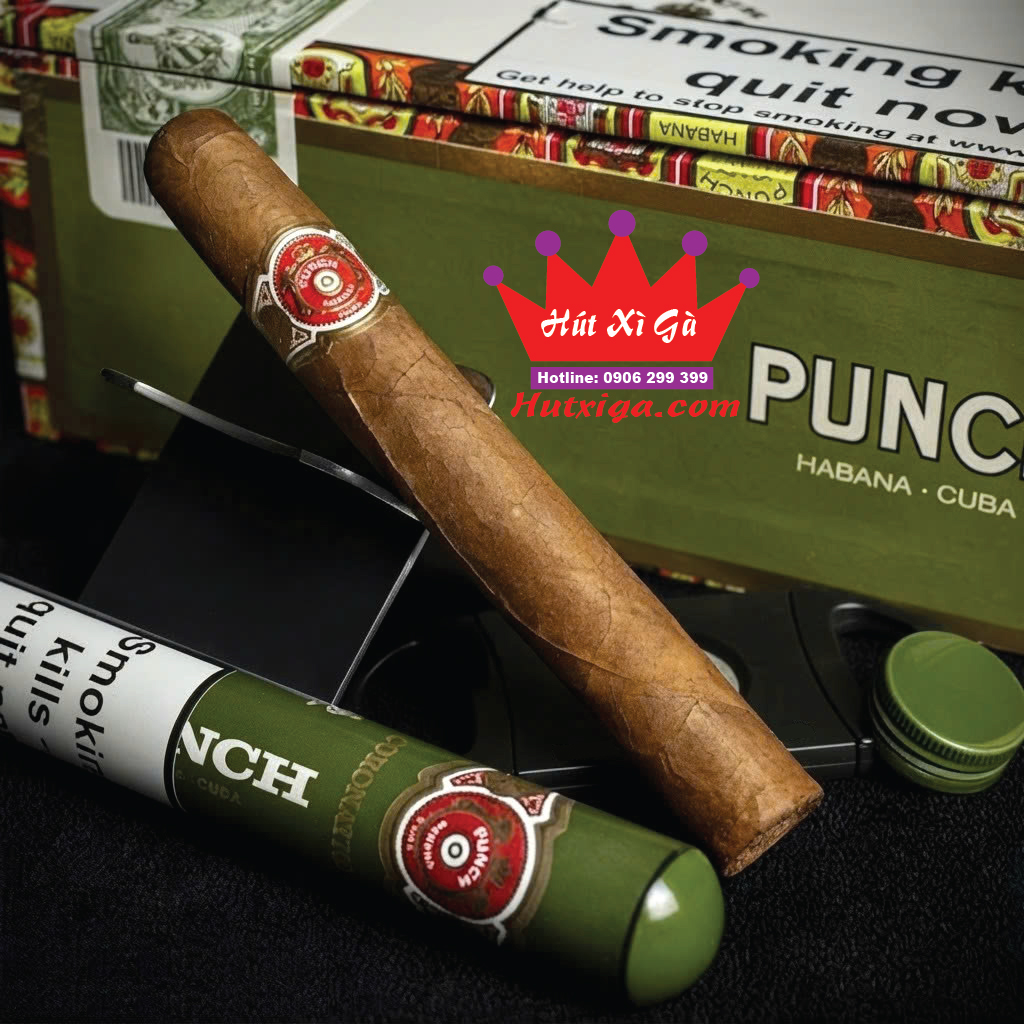 Xì gà Punch Coronations tubos hộp 25 điếu ảnh 3