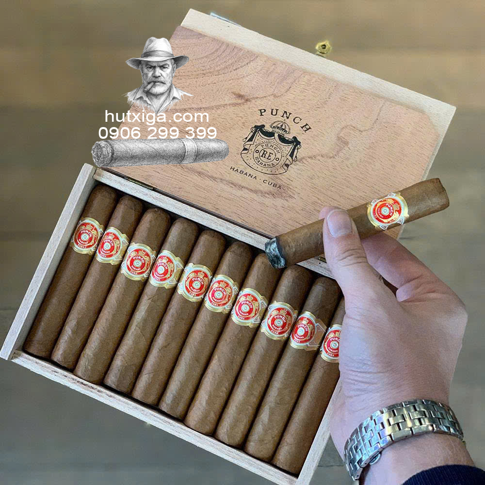 Xì gà Punch Short De Punch hộp 10 điếu ảnh 2