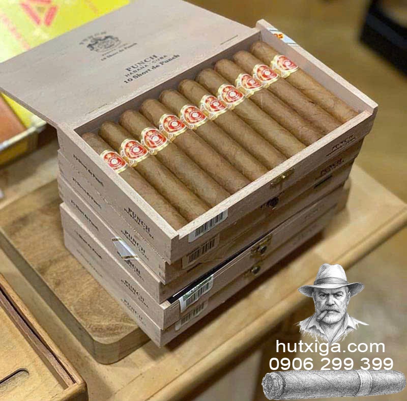 Xì gà Punch Short De Punch hộp 10 điếu ảnh 6