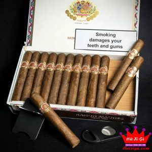 Xì gà Ramon Allones Small Club Coronas hộp 25 điếu ảnh 4