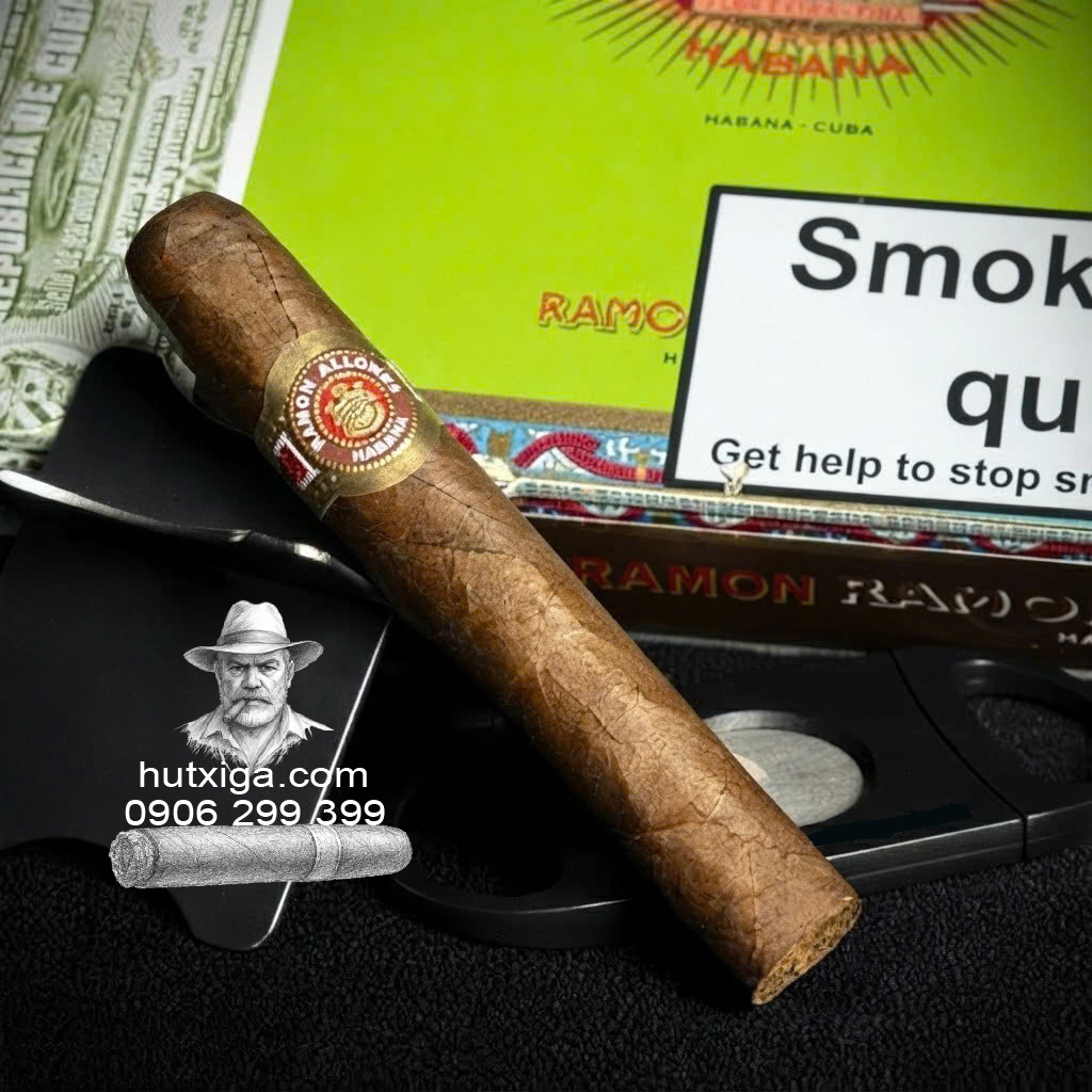 Xì gà Ramon Allones Small Club Coronas hộp 25 điếu ảnh 6